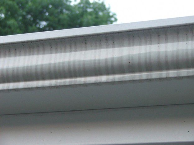 tigerstripes-black-lines-gutters