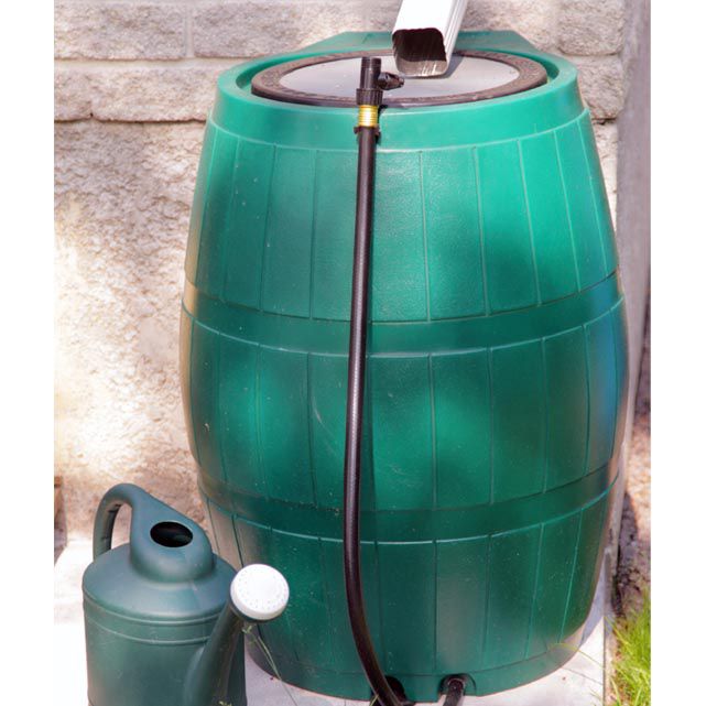 rain-barrel