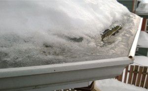 Ice_inside_gutter