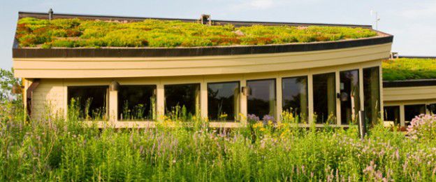 House-green-roof