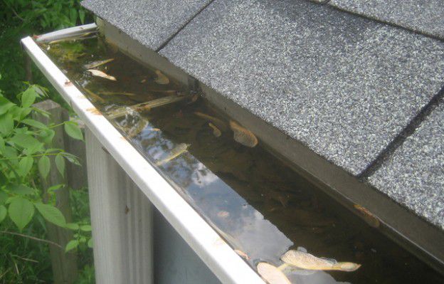 clogged-rain-gutter