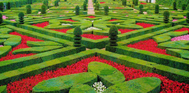 French-garden_Francisco Antunes