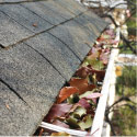 Clogged gutter